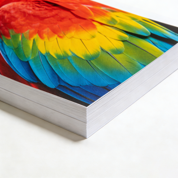 A4 250g Heavy Weight Double Sided Matte Inkjet Paper 50 Sheets High Definition 8.3"× 11.7" Color Photo Printing Paper