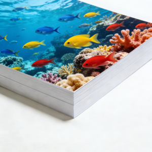 50 Sheets A3 180g Heavy Weight Double Sided Matte Inkjet Paper 11.7"×16.5" Photo Quality, Universal Inkjet Printer Compatible
