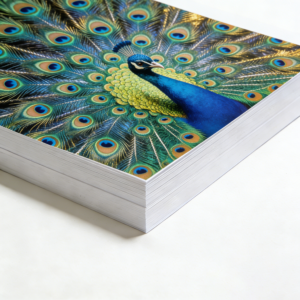 300gsm A3 Thick Double Sided Matte Finish Inkjet Paper 50 Sheets 11.7"× 16.5" Universal Printer Fit High Quality Photo & Poster Printing